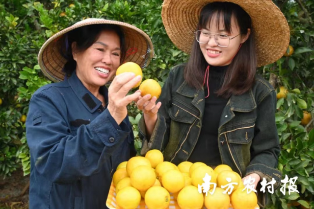 廉江是“中国红橙之乡”，廉江红橙是湛江绿色食品的代表之一。