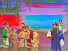 吃生蚝看雷剧，记者带你到湛江雷州品年味｜让家乡出圈