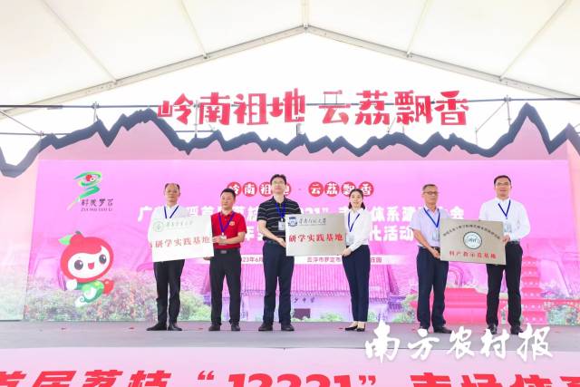 加强与院校科研合作，按下罗定荔枝产业发展的加速键