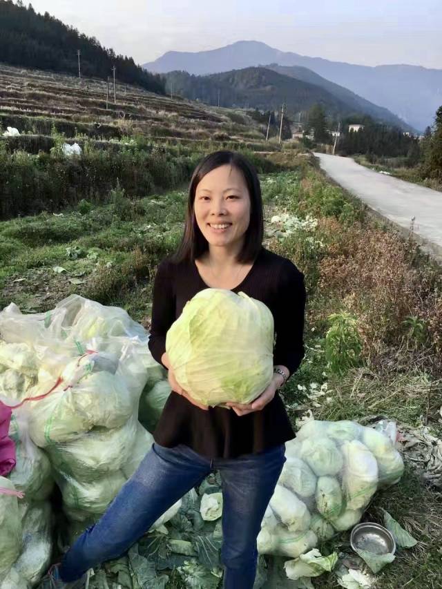 回乡“种菜”的肖霞。