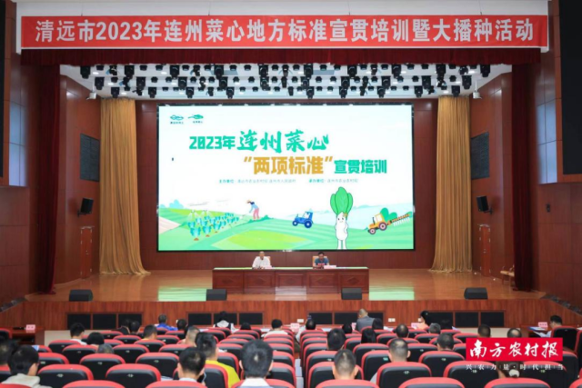 2023年，清远举办连州菜心地方标准宣贯培训活动，邀请农科专家、金融代表为菜农授课。