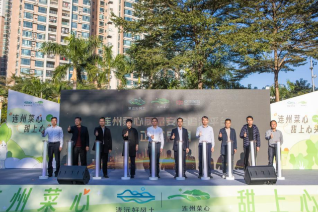 连州菜心质量安全追溯平台正式上线启用。