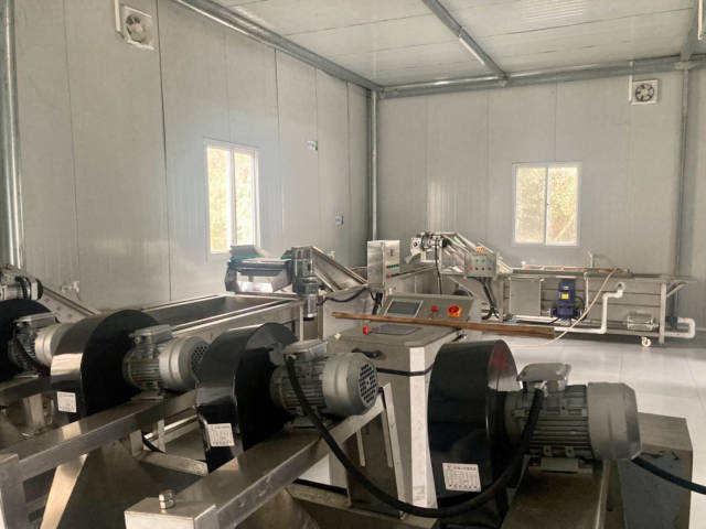 丰乐引进的蔬菜加工线。