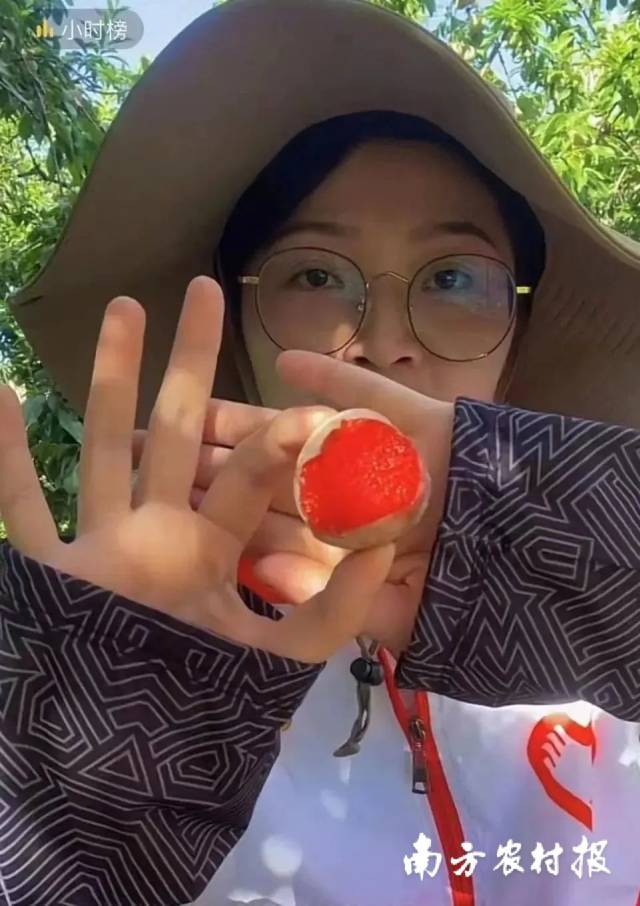 黄丽颖在果场展示三华李