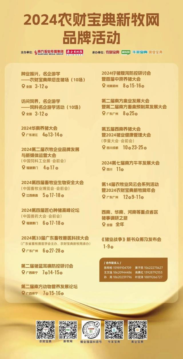  创造与魔法暴力兔属性解析技能详解与实战运用指南