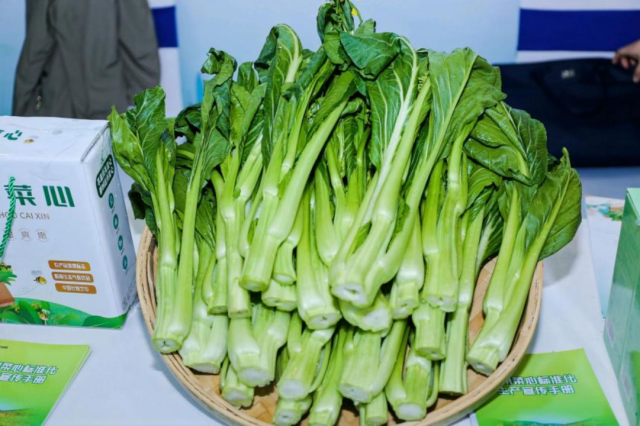 2023年，连州菜心在多个平台多次登顶蔬菜热销榜top1，成为粤港澳大湾区市民的冬食蔬菜首选。
