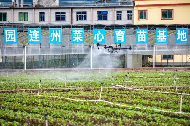 无人机施肥施药提升作业效率。