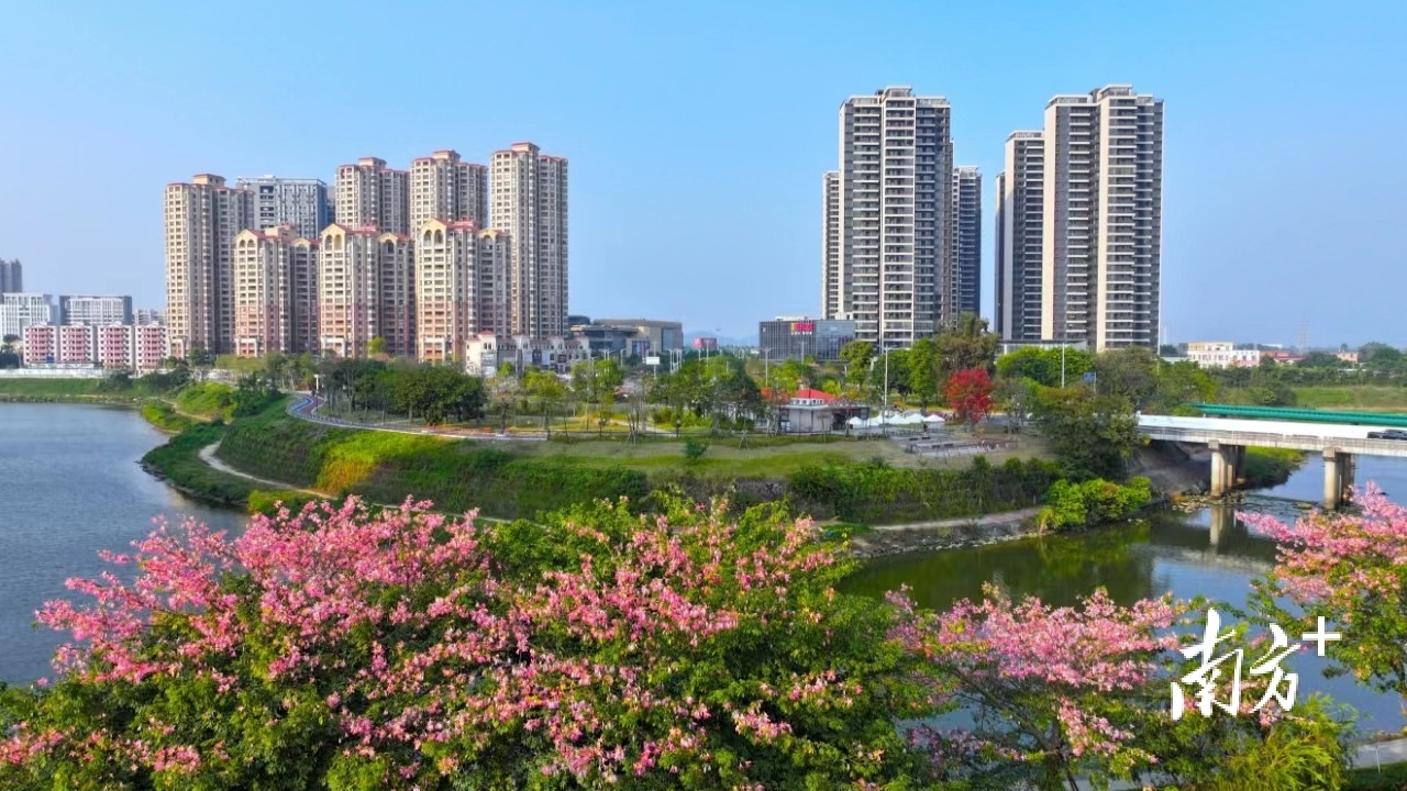 绿美台山，满目春光。杨兴乐 摄