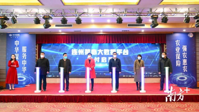 连州菜心大数据平台正式交付上线。（张晓欣摄）