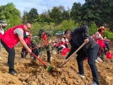 绿美生态建设，党员先行！兴宁市永和镇开展“千村增绿先锋行”植树活动