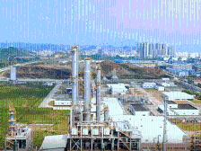 宇新股份胡先念：打造独具特色的碳四深加工产业链