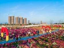 视频 | 超21万人次打卡！滨海湾春节人气旺