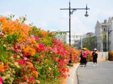 江门城管：城市管家护航 绿美侨都上新