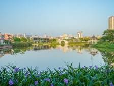 8镇20村！为佛山2023年“百千万工程”工作先进镇街和村居点赞