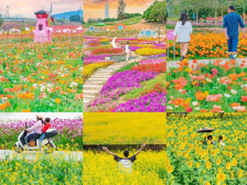 南方观察｜“春节档”火热，东莞文旅转型见成效