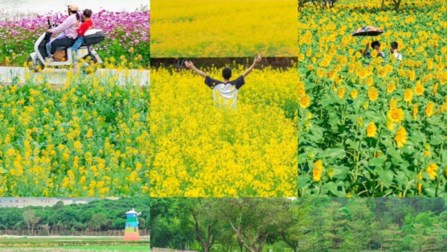 南方观察｜“春节档”火热，东莞文旅转型见成效