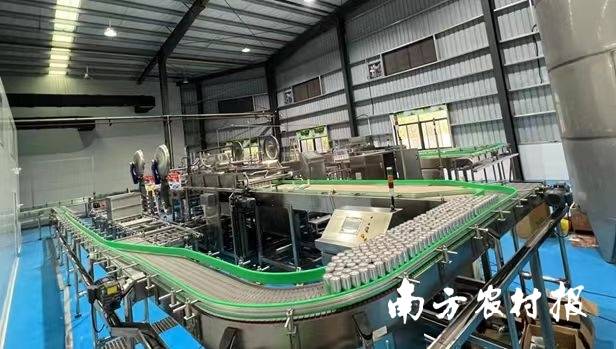 潮州市橄醇食品有限公司引进两条橄榄汁自动化生产线其二