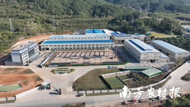 梅州市蕉岭县毛竹特色省级现代农业产业园 梅州市蕉岭县毛竹特色省级现代农业产业园