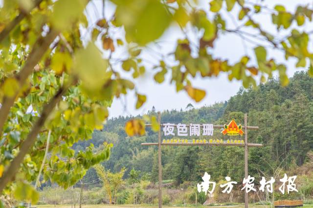 李庚原引进文旅小镇项目，黄花正在按计划逐步实施吃住游玩三位一体、农业旅游综合一体、村庄景点融为一体规划