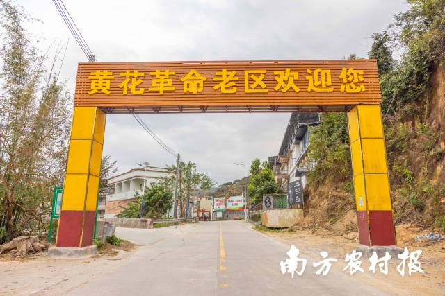 黄花是解放战争游击区,红色文化根基深厚 黄花是解放战争游击区,红色文化根基深厚