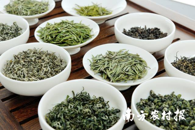 贵州绿茶是全国茶叶类首个省域农产品地理标志农产品