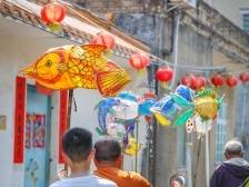 游鱼跃龙门，北坡游鱼文化周魅力绽放！