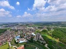 鹤山桃源：推动高质量发展开新局谱新篇