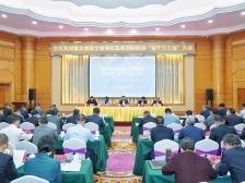 全面推动高质量发展，“南海七虎”竞标争先