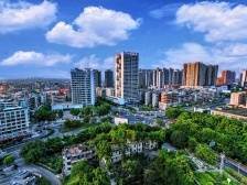 鹤山市委副书记、市长张华景：以头号力度推进“百千万工程”