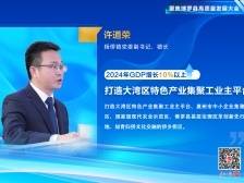 杨侨镇镇长许道荣：打造大湾区特色产业集聚工业主平台