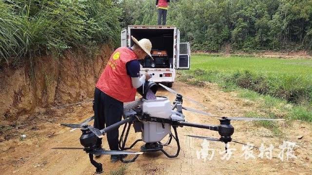 志颖公司托管员为梅县区撂荒地复耕复种水稻进行无人机施肥作业