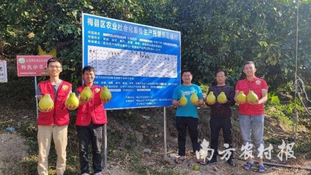 梅县区农业社会化服务生产托管示范基地