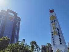 “侨”见广东发展新机遇：双向奔赴为高质量发展注入侨动力