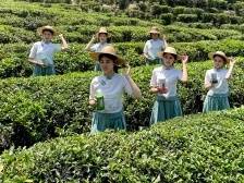 五大攻坚·五问汕尾⑤｜民生福祉，靠何增进？