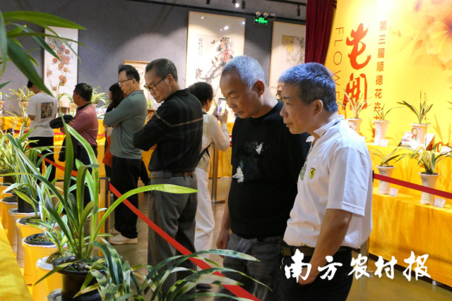 南方农村报 李嘉镓 制图