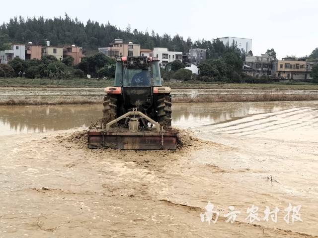 南粤大地,万象“耕”新 南粤大地,<strong></strong>万象“耕”新
