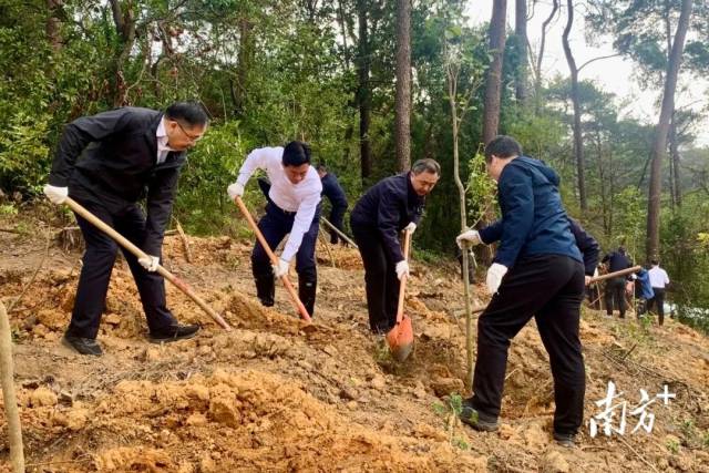 南方农村报 李嘉镓 制图