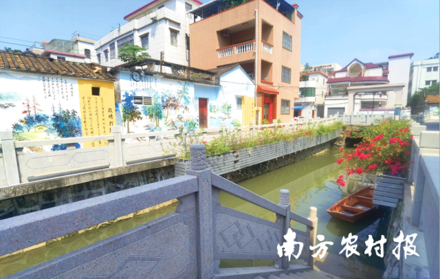 直冲村整治后焕然一新的河道景观。