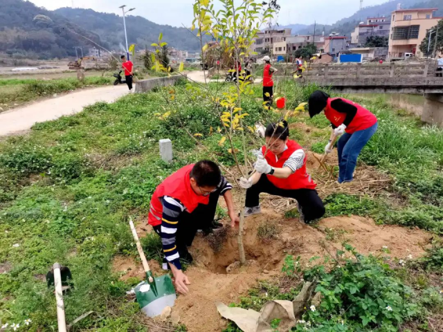 石角镇黄花村植树现场，由市、县挂扶单位志愿者、镇村干部、党员志愿者、人大代表、村民志愿者等100余人种下220棵的铁冬青树苗。