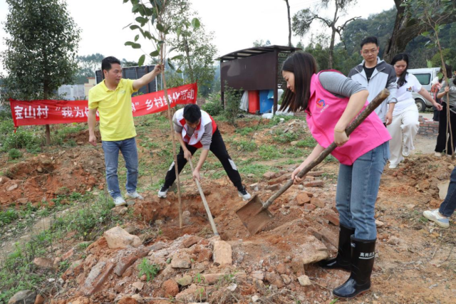 高岗镇宝山村委全体人员齐心协力植树，205株新植树苗迎风挺立、错落有致，呈现出勃勃生机。