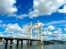 陈小曼：准、实、快，开平将确保新引入亿元项目逾52个