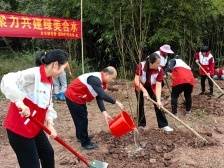 兴宁市合水镇：“党建红”引领“生态绿”，厚植“百千万工程”绿美生态底色