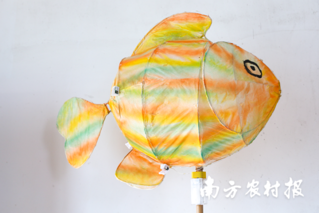胖胖鱼(口号:肚子大,鱼胖胖,赚的盆满钵满。) 胖胖鱼(口号:肚子大,鱼胖胖,赚的盆满钵满。)