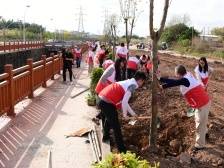 兴宁市委政法委开展“党建红”引领“生态绿”助推绿美兴宁植树活动