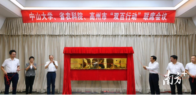 通讯员 高州医院 供图