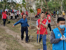 “植”此青绿，不负绿美滨海