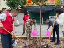 兴宁市宁中镇：军地共植“同心树”，谱写绿美“协奏曲”
