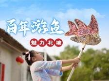 宣传片 | 百年游鱼 魅力北坡