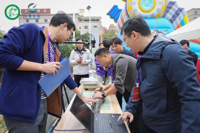 三角镇农业服务中国技术人员现场测量各村的鱼王，收集大鱼样本数据。