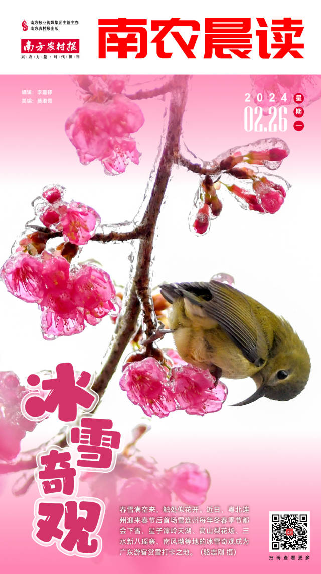 南方农村报 李嘉镓 制图